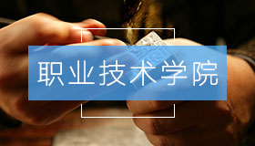 职业技术院校