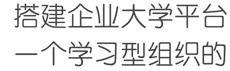 搭建企业大学平台，一个学习型组织的标配